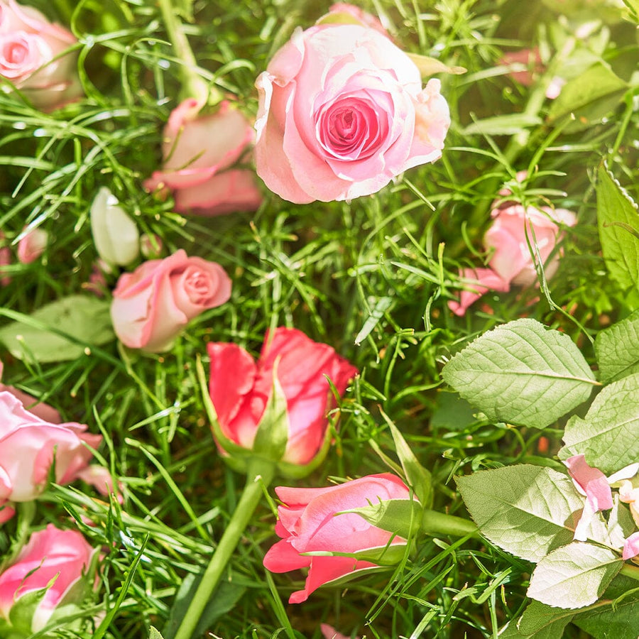 Dawn In The Rose Garden Candle Roja Parfums 